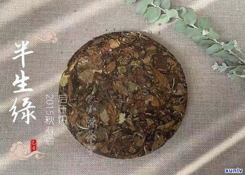 普洱茶饼存放年限：影响口感的关键因素