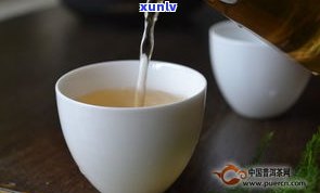 普洱茶上面有小虫怎么回事？图片揭示真相