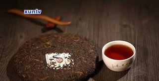 普洱茶有小虫子，能喝吗？图片、视频展示