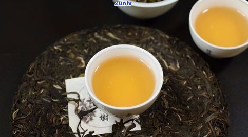 洪普号普洱茶是真古树茶吗？了解洪普号茶业有限公司及其产品质量