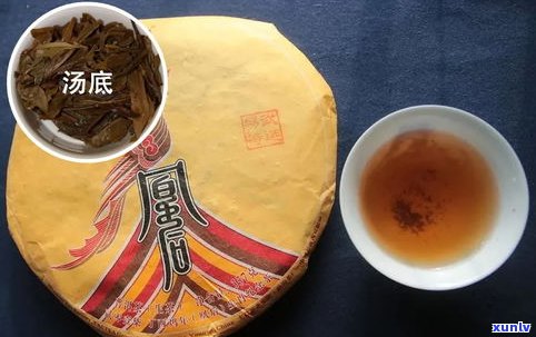 大益普洱茶哪款值得收藏？精选推荐与评价