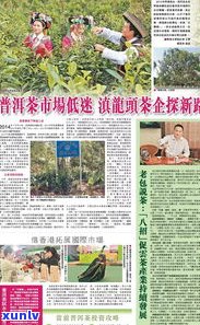 海口普洱茶交易市场：地址、介绍与全面指南