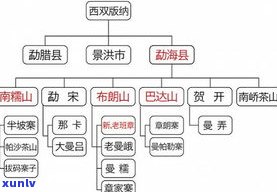 发酵普洱茶功效：揭示其独特作用与 *** 流程