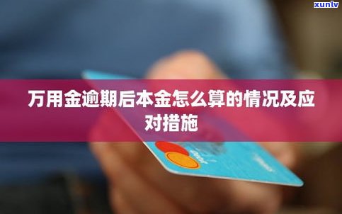 浦发万用金可以延期三天吗-浦发万用金可以延期三天吗