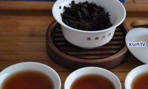 普洱茶害了多少人-普洱茶害了多少人喝