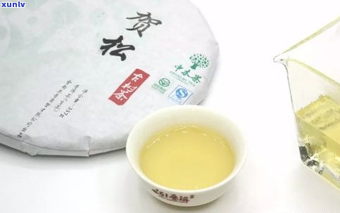 曼松普洱茶口感特点详解：独特的味道与香气