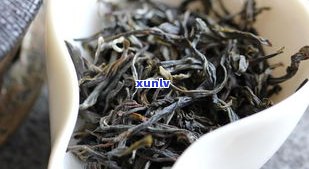 曼松熊猫饼普洱茶-曼松普洱茶的价格