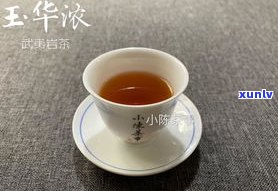 用自来水泡普洱茶-用自来水泡普洱茶可以吗