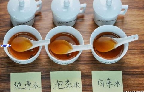 用自来水泡普洱茶-用自来水泡普洱茶可以吗