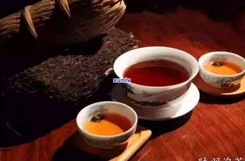 龙岩普洱茶的更佳冲泡  及药用价值