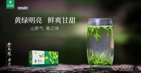 绿水塘普洱茶介绍-绿水塘普洱茶介绍文案