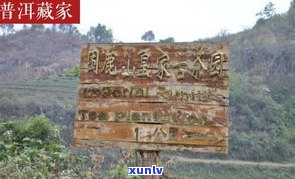 玉泉山普洱茶产地在哪里？探究知名品牌及其故事