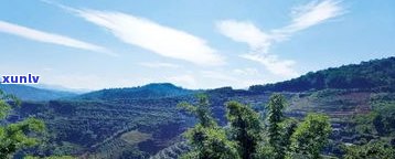 玉泉山普洱茶产地-玉泉山普洱茶产地在哪里