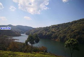 玉泉山普洱茶产地-玉泉山普洱茶产地在哪里