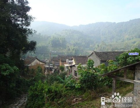 玉泉山普洱茶产地-玉泉山普洱茶产地在哪里