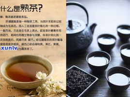 茗普古茶行：品味茗古、茗兴、茗古兰及茗香系列普洱茶