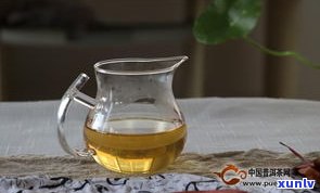 减肥大量喝普洱茶可以吗？女性适用吗？效果怎样？