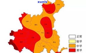 云南产普洱茶：主要区县及分布地区探析