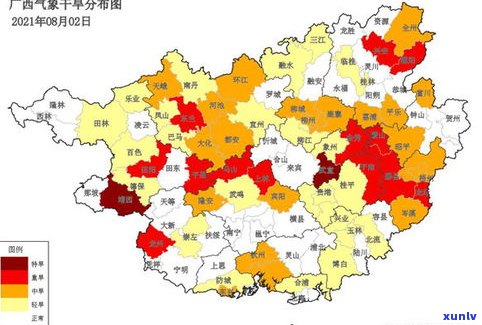 云南产普洱茶：主要区县及分布地区探析