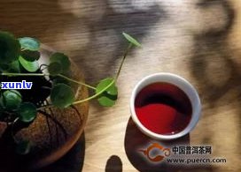 云南上市的普洱茶-云南上市的普洱茶有哪些