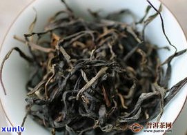 易武冷水河古树茶的特点、产地与价格解析