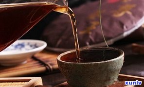 重庆适合存放普洱茶吗？熟悉存放  与专卖店信息