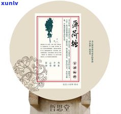 普洱茶代替降脂药-普洱茶代替降脂药可以吗