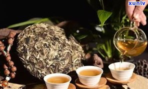 易武同度号普洱茶-易武同盛号普洱茶