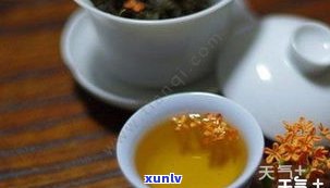 鸡骨草叶加普洱茶：女性、孕妇可以饮用吗？是否有？一起泡的效果如何？