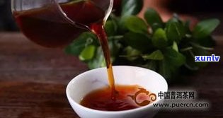 普洱茶哪些年份产的更好？口感、品质比较解析