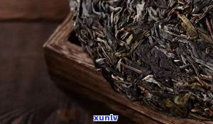 云南双江沙河精制茶厂：千年古树茶饼、地址、 *** 及 *** 全攻略