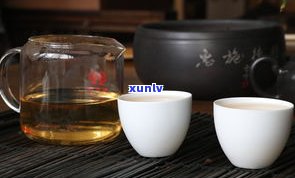 泥盆放普洱茶好吗？图片欣赏与保养技巧全攻略