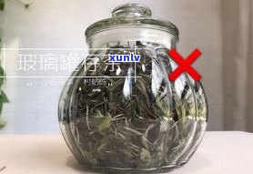 普洱茶罐用清水泥还是紫泥？哪种材质更适合存储普洱茶？紫砂罐与瓷罐、陶罐比较，有何优劣？