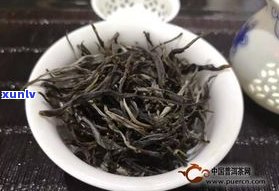 大厂普洱茶有假吗-大厂普洱茶哪个性价比