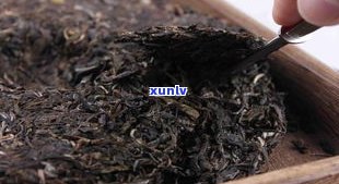 小饼普洱茶的种类-小饼普洱茶的种类有哪些