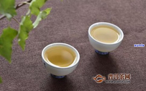 名贵堂坝歪普洱茶-坝歪普洱茶特点