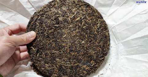 名贵堂坝歪普洱茶-坝歪普洱茶特点