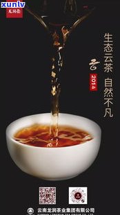 40年普洱茶的价值：能否饮用？价格多少？