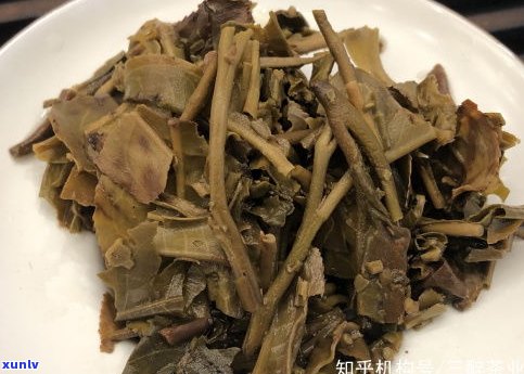 佛山今大福普洱茶-今大福 普洱茶