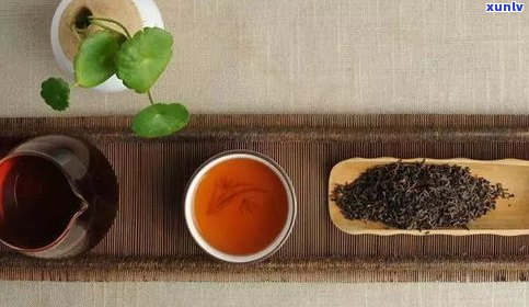 普洱茶怎么看品质？教你怎样分辨好坏等级与茶叶优劣