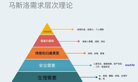 普缘服饰：全面涵盖服装、实业及健康管理，一站式服务您的需求