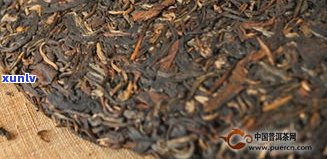 深度解析：普洱茶与古树红茶有何区别？从原料、工艺到口感全方位比较