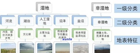 全面解析：玉石的外部特征及其内在美