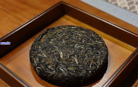 普洱茶保存：如何有效防虫防潮？