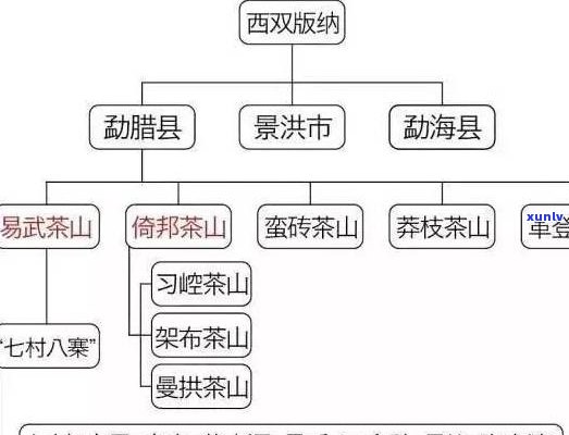 版纳地区有哪些著名的普洱茶山及相关信息