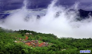 版纳地区有哪些著名的普洱茶山及相关信息