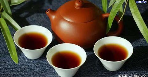 云南普洱茶在哪里买比较正宗？怎样挑选好的普洱茶？