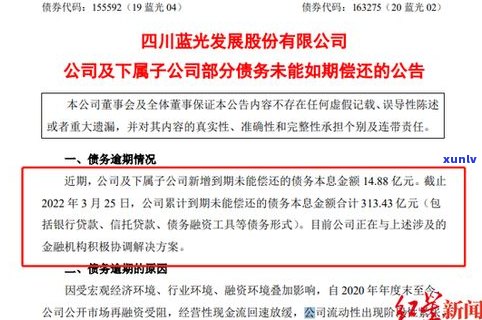 欠债几十万，怎样解决？解决方案与建议