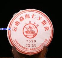 南桥茶厂：熟茶价格表与品牌介绍