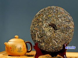 普洱茶的樟香由来与历史：味道解析